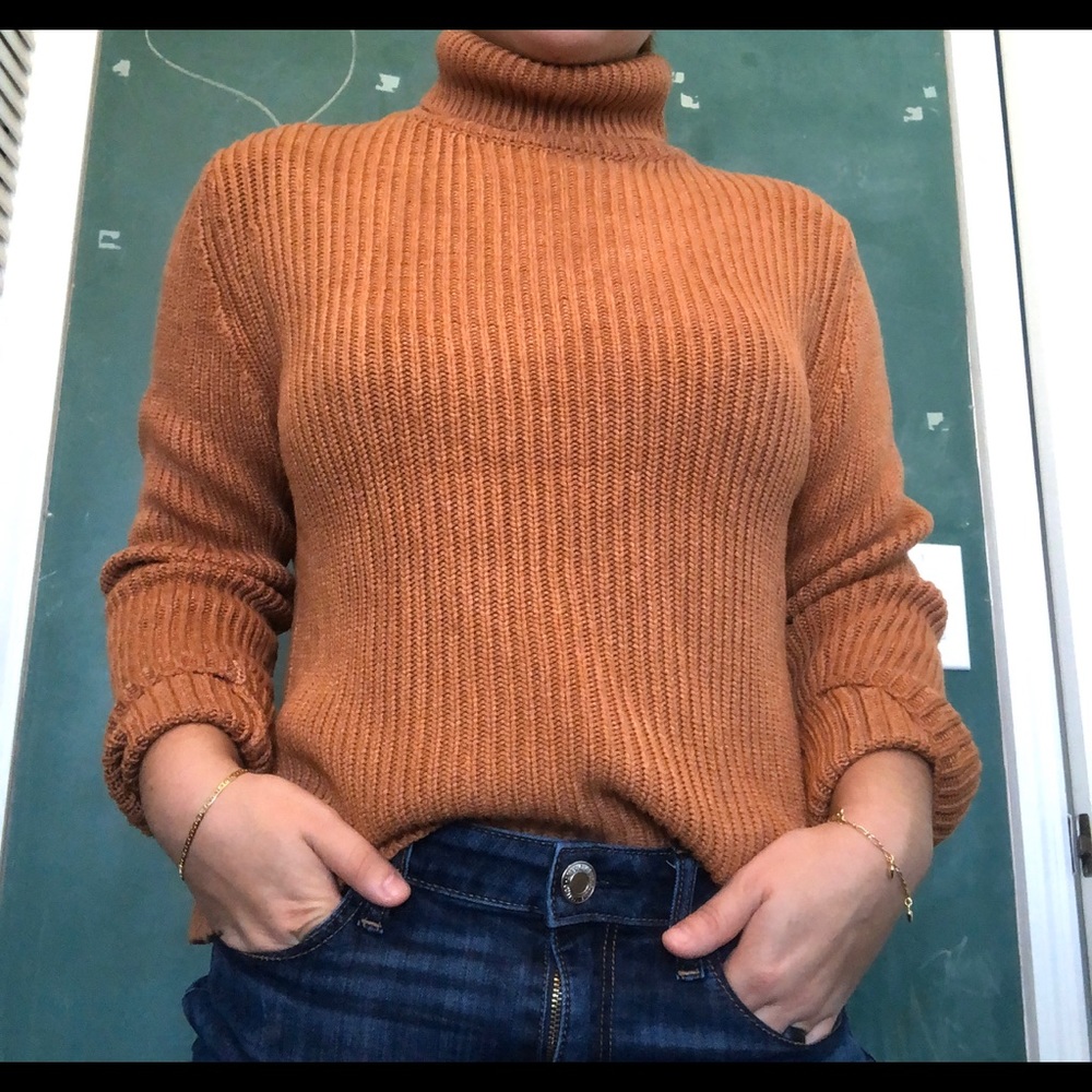AE Chunky Turtleneck Sweater